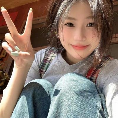如果德川家康成为总理大臣